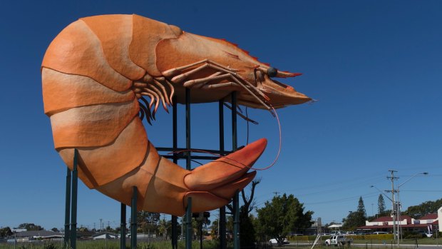 Think you could make Ballina's Big Prawn out of cake?