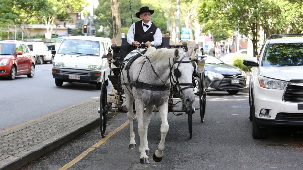 Uber Queensland use a horse and cart to deleiver 15,584 letters to the Premier's office on George Street.
