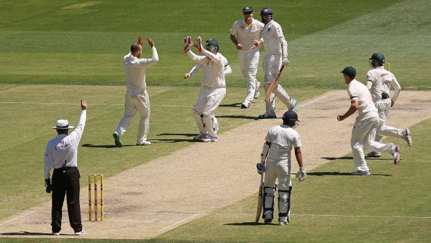 Sharp: Nathan Lyon celebrates taking Ishant Sharma’s wicket, caught out by Steve Smith. 