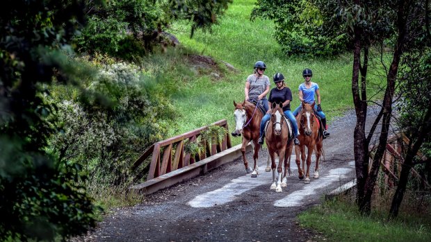 Appin residents Penny Dunbier, Lauren Kirszonka and Robyn Kirszonka walk their horses in the area this week.