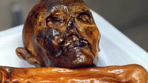 Oetzi, who was discovered entombed in a melting glacier in the Italian Alps in 1991, turned out to be more than 5000 years old. 