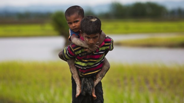 A young Rohingya boy from Myanmar carries a child on his back through rice fields after crossing over to the Bangladesh on Friday.