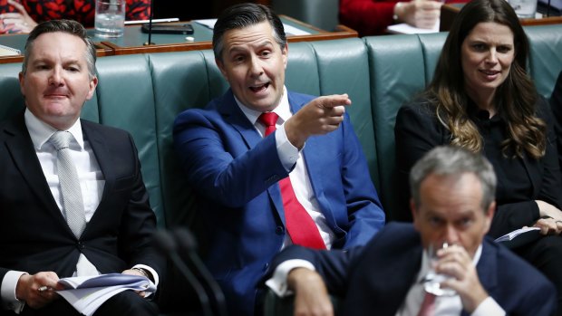 To the point: Shadow Environment Minister Mark Butler (centre) during question time on Tuesday.
