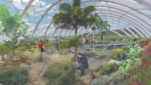 New Conservatory (artist's impression) imagined in ANBG's master plan.