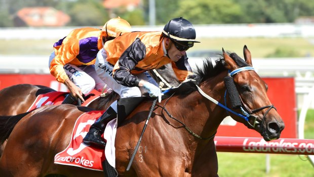 Anything but legless: Legless Veuve takes out the Manfred Stakes at Caulfield.