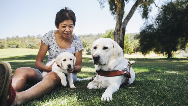Lindy Hou with her guide dog Comet and eight-week-old puppy, Wanda, who is about to go into guide dog training.