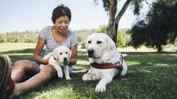 Lindy Hou with her guide dog Comet and eight-week-old puppy, Wanda, in 2016. She will be one of 70 people carrying the baton. 