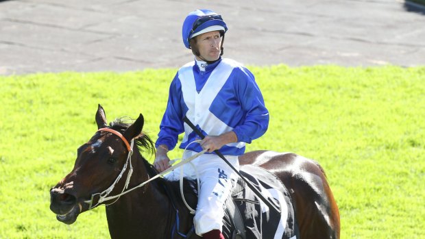 Great money-spinner: Felines has found her niche as a consistent short-course sprinter.