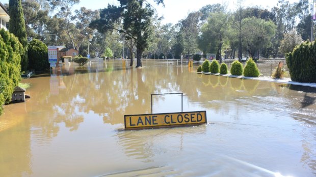 Forbes in flood on Saturday from Forbes Advocate journalist Olivia Grace-Curran. About 17mm of rain fell on Saturday night.