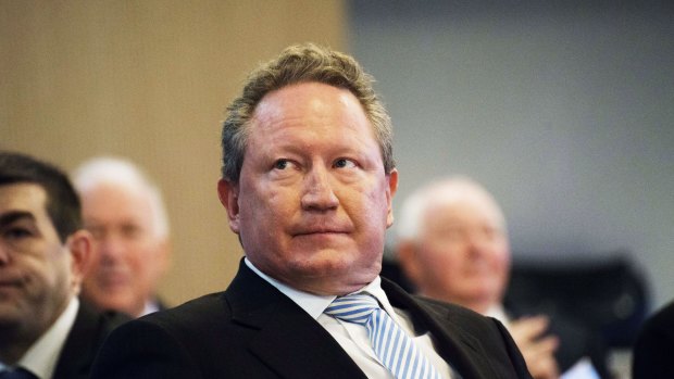Andrew Forrest's has led the calls for an inquiry into iron ore