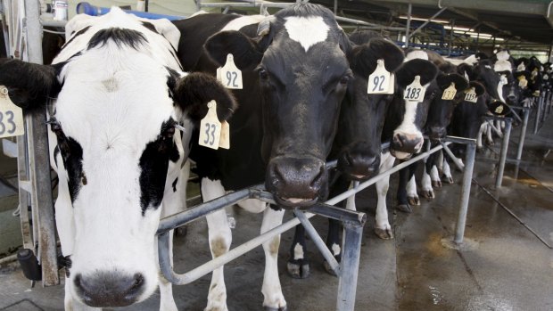 Dairy giant Fonterra came in at No. 1.