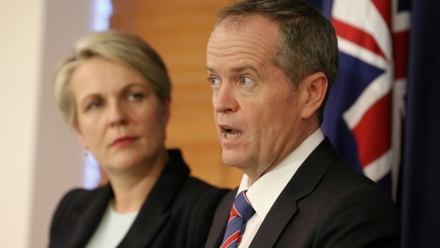 Bill Shorten, pictured with Tanya Plibersek, is backing a banking royal commission.