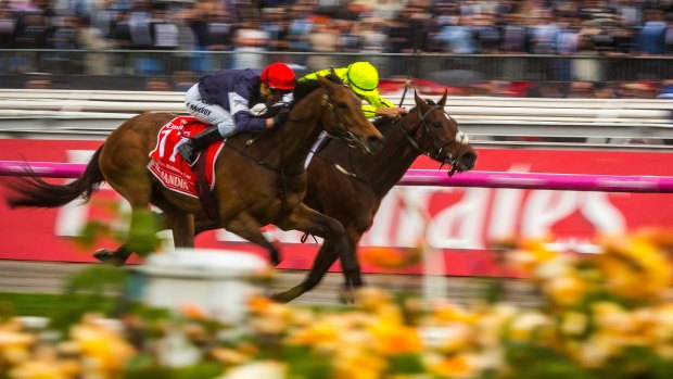 Close run: Almandin and Heartbreak City charge neck and neck to the finish in last year's Melbourne Cup.