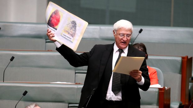 Independent MP Bob Katter in Parliament.