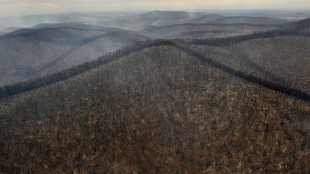 Burnt out ranges just east of Kinglake after fires ripped through during Victoria's hottest day on record. 