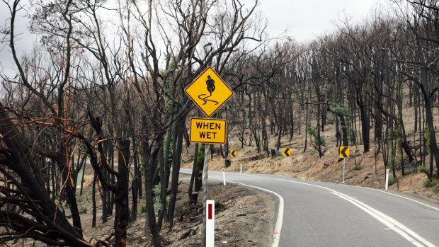 The Kinglake-Heidelberg Road four months after the Black Saturday Bushfire in 2009.