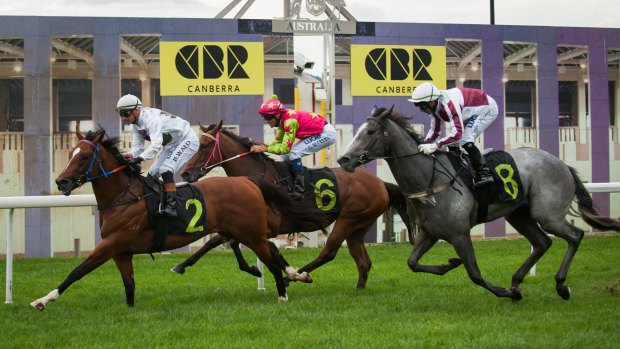 Canberra trainer Nick Olive is aiming Fox Tales at Canberra's group 3 Black Opal Stakes.