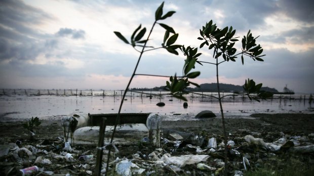 Rubbish, including a couch, rests along the edge of Guanabara Bay, the venue for the Olympic sailing