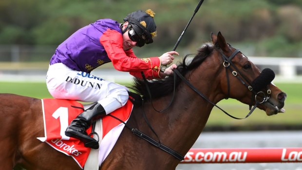 Regal seal: Bold Sniper is owned by The Queen and will run in Saturday's Signs Handicap at Moonee Valley.