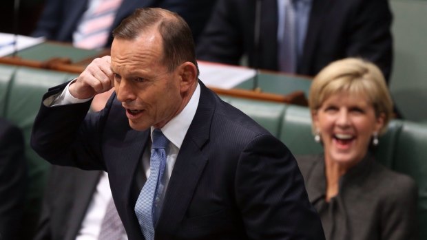 Prime Minister Tony Abbott, the victim of the latest cabinet leaks, tugs his ear during question time. 