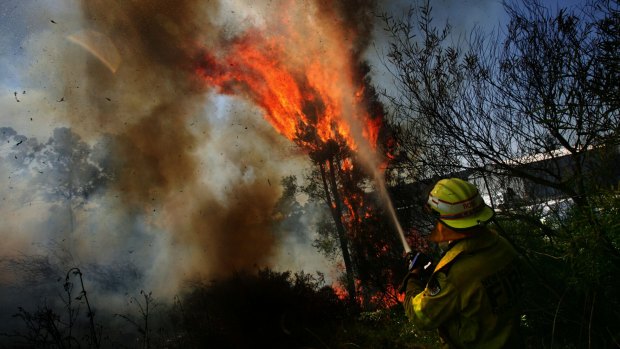 Sydney home owners face fire levies as high as $471 a year according to analysis by the NSW fire fighters' union.
