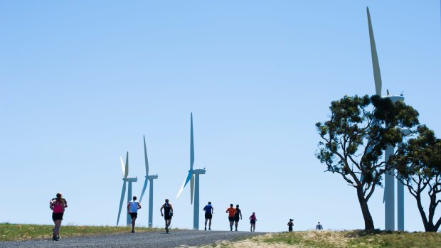  Running on empty: the renewable energy debate has stalled.
