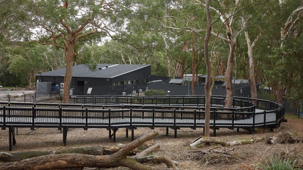 Koala Sanctuary Port Stephens will officially open next week.