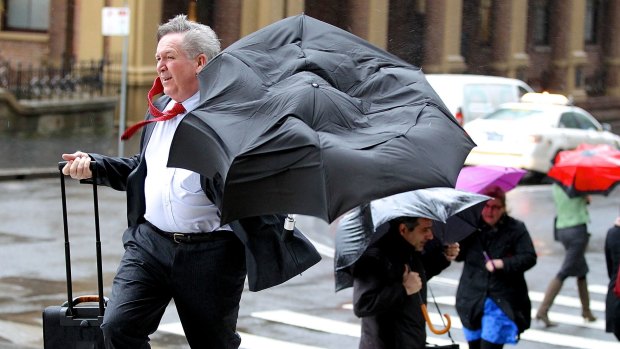 Raincoats may be more useful than umbrellas.