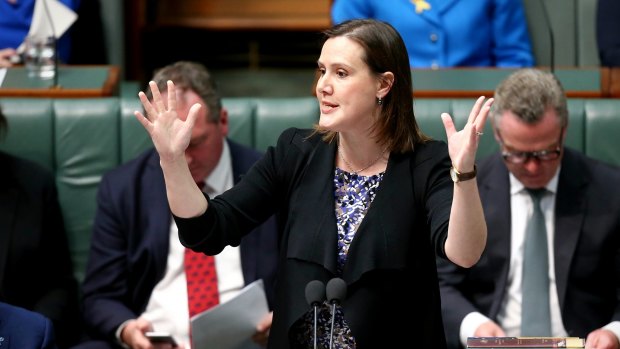 Finance Minister Kelly O'Dwyer will announce measures to give better protection to whistleblowers. 