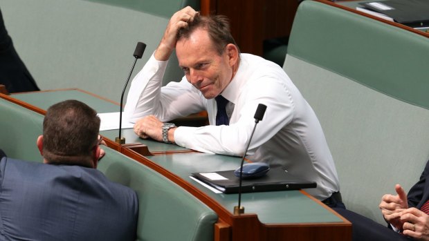 Tony Abbott in the House of Representatives earlier on Wednesday.