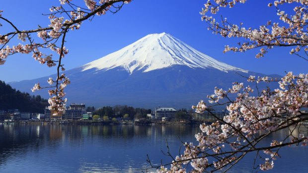 Iconic: Mount Fuji in spring.