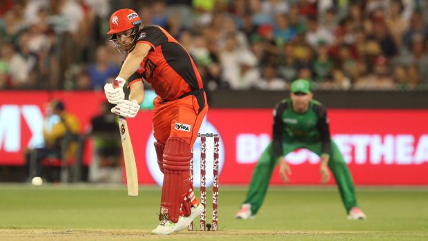 Aaron Finch led the Renegades to victory over the Stars.