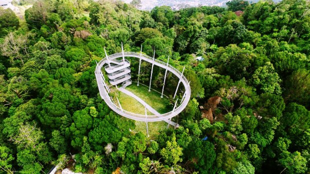 The treetop canopy walk at The Habitat, Penang Hill. 