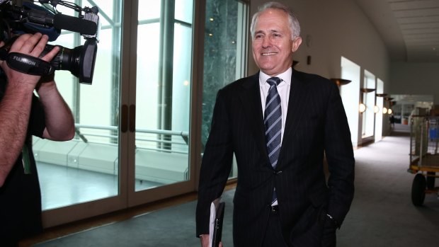 Preferred Liberal leader ... Communications Minister Malcolm Turnbull.