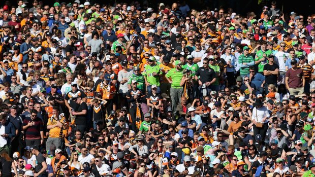 Sun-drenched hill: Spectators cram into Leichhardt Oval to watch the Tigers and Raiders.