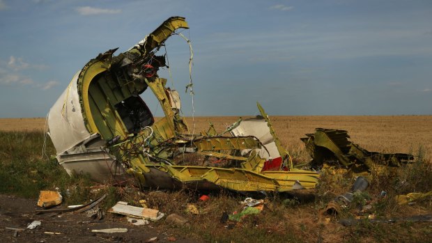 The rear fuselage of flight MH17 at the crash site in the fields outside the village.
