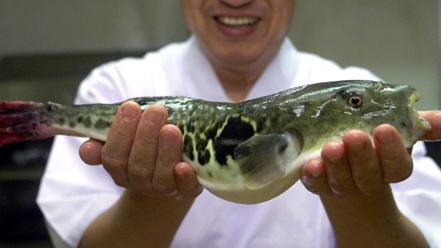 Japanese chefs are hoping Olympic tourists will help revitalise interest in eating the potentially deadly fugu, or pufferfish. 