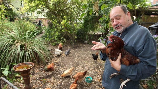 Campaigning to ban battery hens: New MP Mark Pearson.