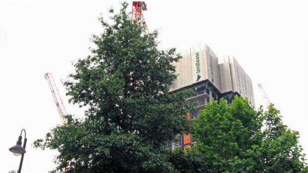 Tree conservation was one of Lendlease's first challenges.