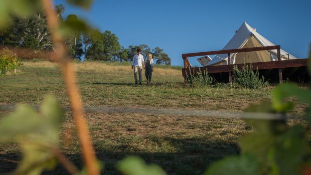 At the Naked Cubby, visitors can sip wine and sleep amongst the vines. 