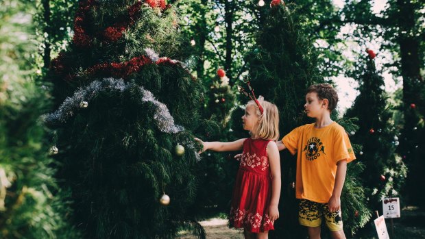 The Christmas in Glebe Park festival is running on Friday, Saturday and Sunday before Christmas.