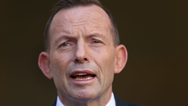 Former prime minister Tony Abbott would be best to keep his head down and improve his policy approach on the issues that count for the Australian people., 