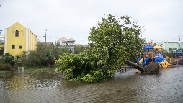 An overturned tree lays on a flooded playground in St Georges, Bermuda, on Thursday.