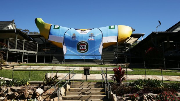 Turning blue: The Big Banana is seen covered in a giant NSW Blues jersey to welcome the team to its training base in Coffs Harbour.