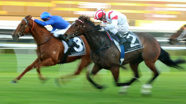 Will to win: Southern Legend (right) runs down Haptic to win at Randwick. 