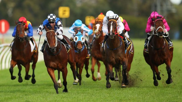 Narrowing the margin: Blake Shinn (black and white cap) rode Brook Road to victory at Rosehill on Saturday to narrow the gap between he and the top of the jokey's premiership.