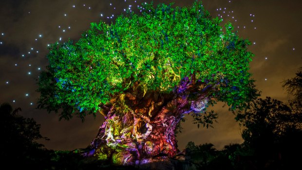 The Tree of Life at Disney's Animal Kingdom lights up.