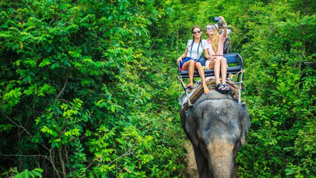 词开始蔓延,骑大象不是最好的主意。