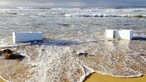 Fisher & Paykel fridges and shipping container were found washed up on Shelley Beach on the NSW Central Coast in 2014.