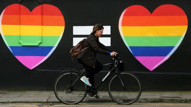 A voter in Ireland's gay marriage referendum.